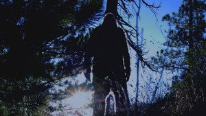 Poster for Эпизод 2