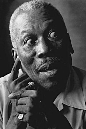 Cover image for Tiger Haynes