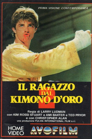 Poster for Золотое кимоно воина 2