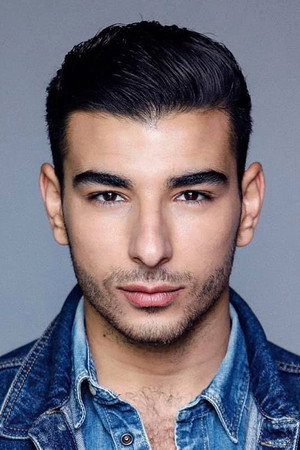 Cover image for Fares Landoulsi