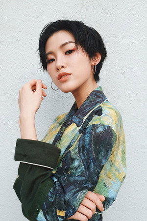 Cover image for Panther Chan Lui