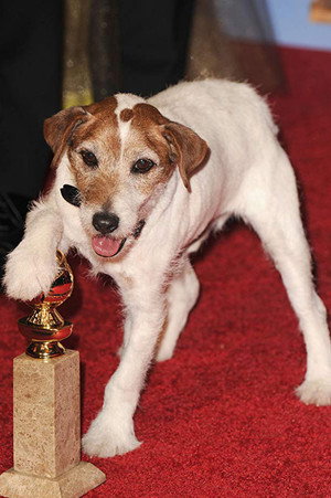 Cover image for Uggie