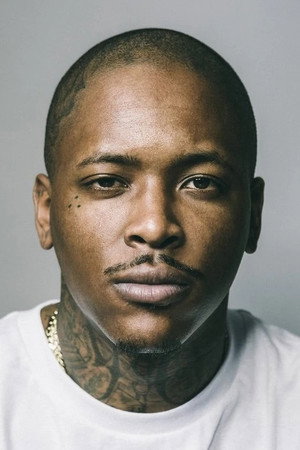 Cover image for YG