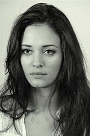 Cover image for Anne Serra