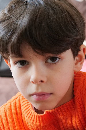 Cover image for Viggo Ferreira Redier