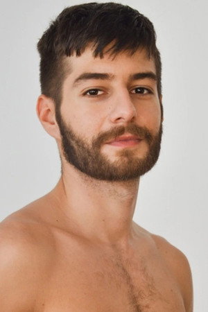 Cover image for Sandro Aliprandini