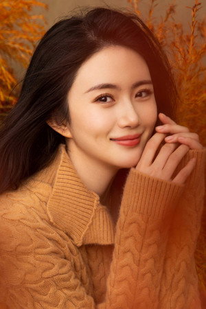 Cover image for Zhao Xin