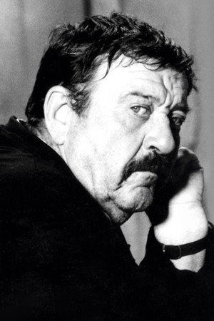 Cover image for Pavle Vuisić