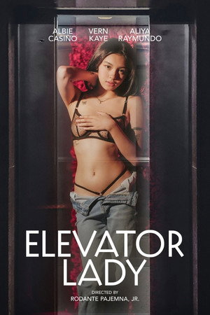 Poster for Лифт Леди