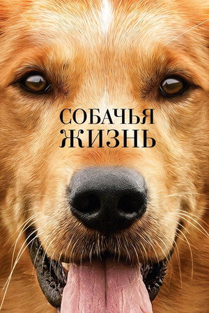 Poster for A Dog's Purpose