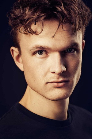 Cover image for Emil Hyldeborg