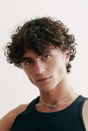Cover image for Fernando Cattori