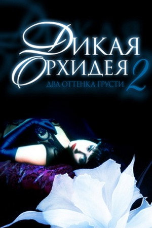 Poster for Дикая орхидея 2: Два оттенка грусти