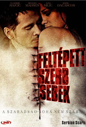 Poster for Сербские шрамы