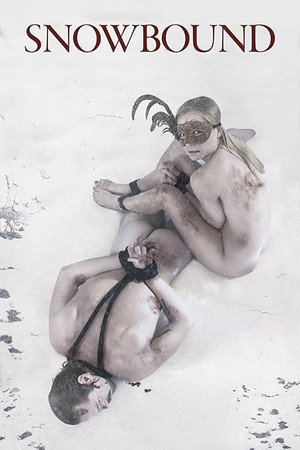 Poster for Снежные связи