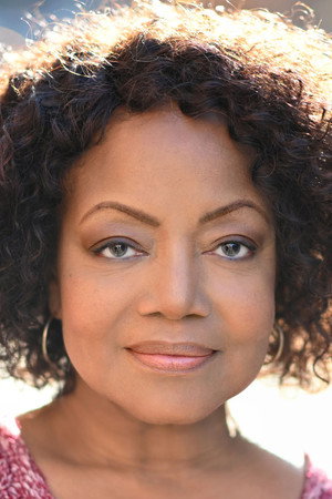 Cover image for Karen Vicks