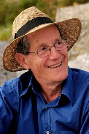 Cover image for Mario Masini