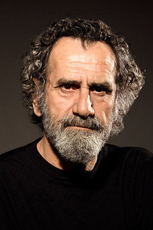 Cover image for Menderes Samancılar