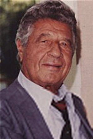 Cover image for Al Silvani