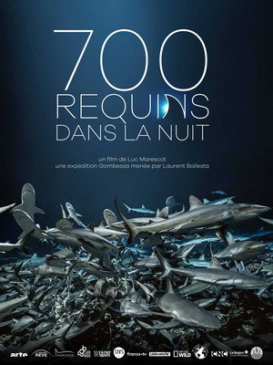 Poster for 700 Sharks