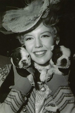 Cover image for Sally Fraser