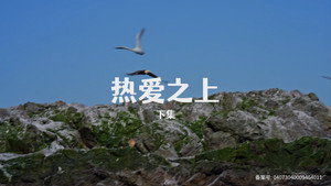 Poster for Эпизод 8