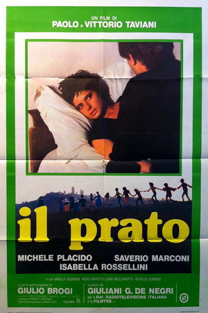 Poster for Поляна