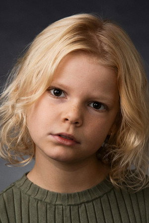 Cover image for Ava Knox Martin