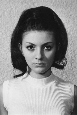 Cover image for Jitka Zelenohorská
