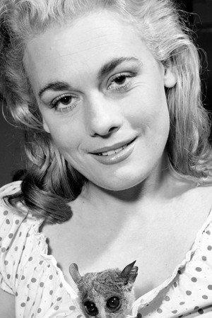Cover image for Dorinda Stevens