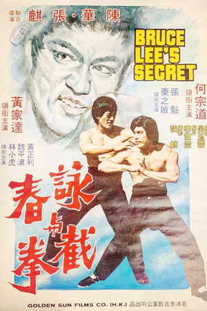 Poster for The Story of the Dragon