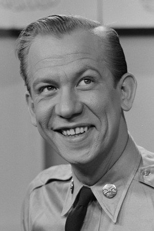 Cover image for Allan Melvin