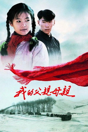 Poster for Дорога домой