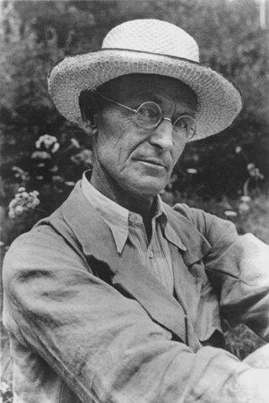 Cover image for Hermann Hesse