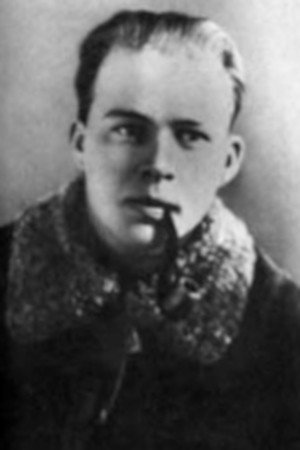 Cover image for Arkady Gaydar