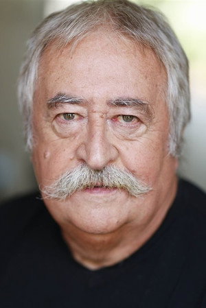 Cover image for Michel Vivier