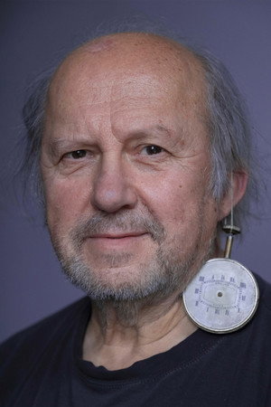 Cover image for Zijah Sokolović