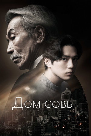 Poster for House of the Owl
