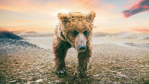 Poster for Эпизод 6