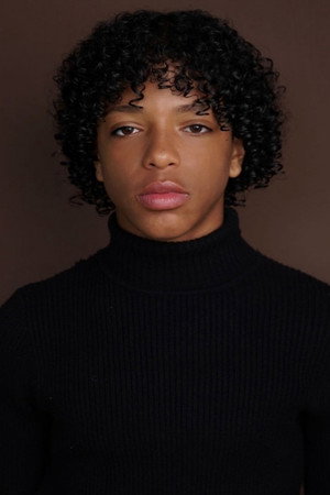 Cover image for Ellis Hobbs IV