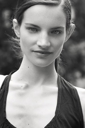 Cover image for Victoire Dauxerre