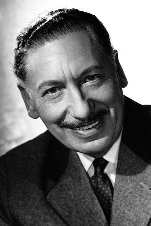 Cover image for Willy Birgel