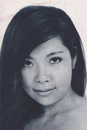 Cover image for 林美樹
