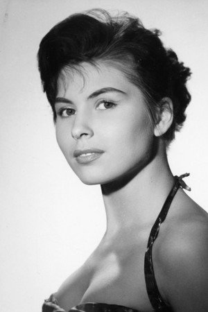 Cover image for Dominique Boschero