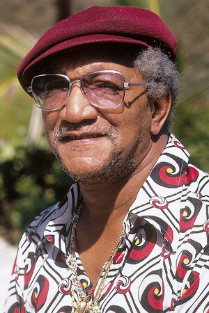 Cover image for Redd Foxx