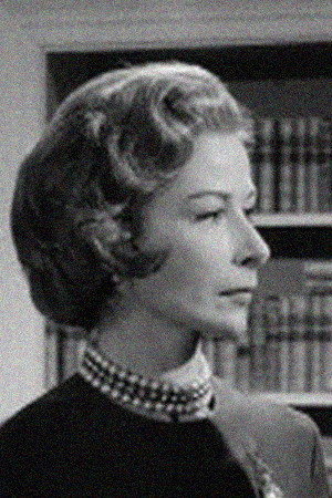 Cover image for Margo Johns