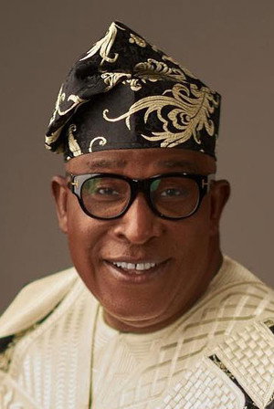 Cover image for Adebayo Salami