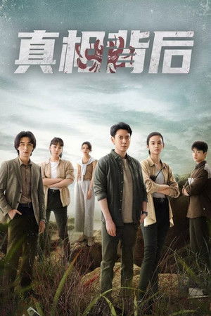 Poster for The Whole Truth