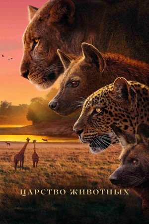 Poster for Kingdom