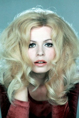 Cover image for Irena Karel